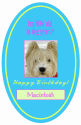 Oval Dog Birthday Label